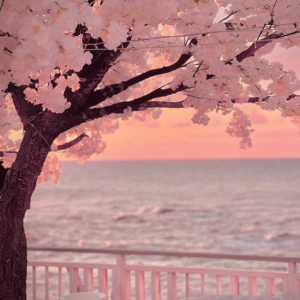 Tree of love