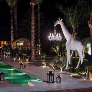 Girafe in Love