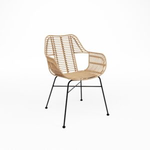 Fauteuils Palm